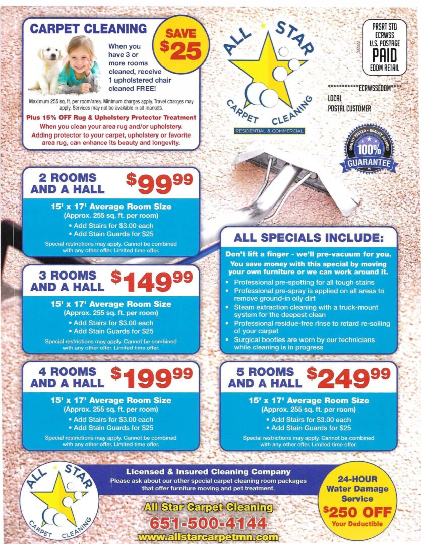 Online Prices All Star Carpet MN