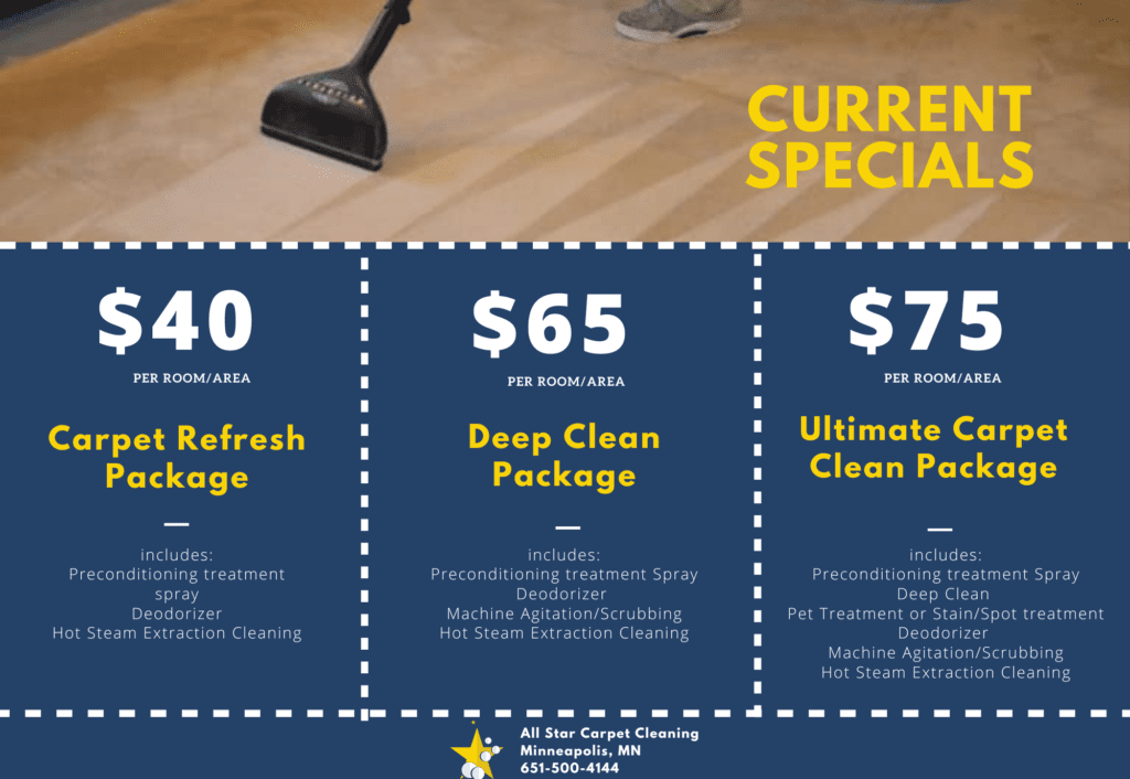 Organic Steamer: Home & Business Carpet Cleaners